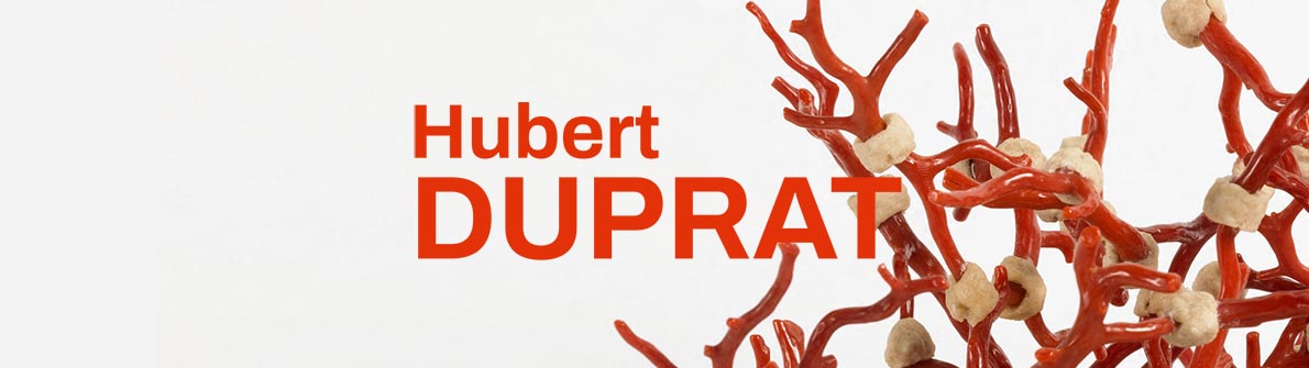 Hubert Duprat Découpages Productions